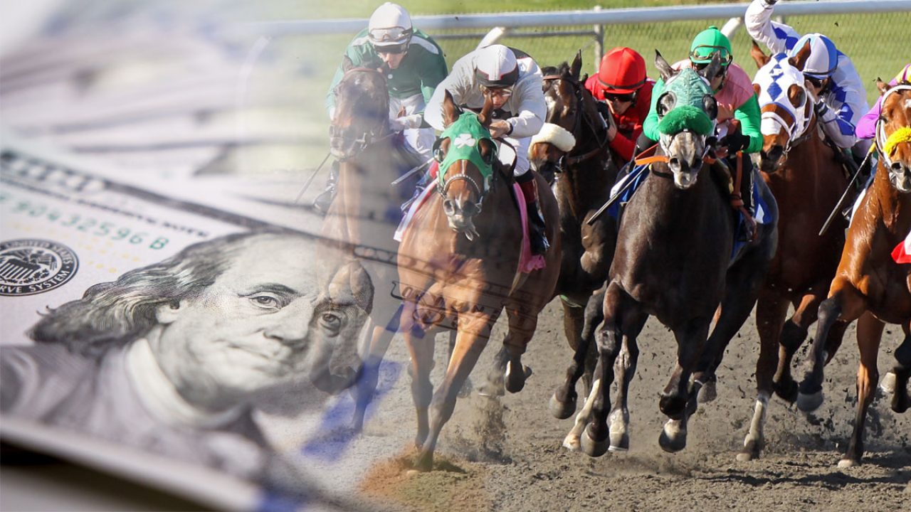 rules on horse racing betting guide