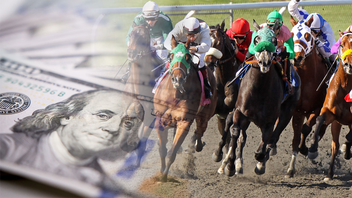 go betting horse racing
