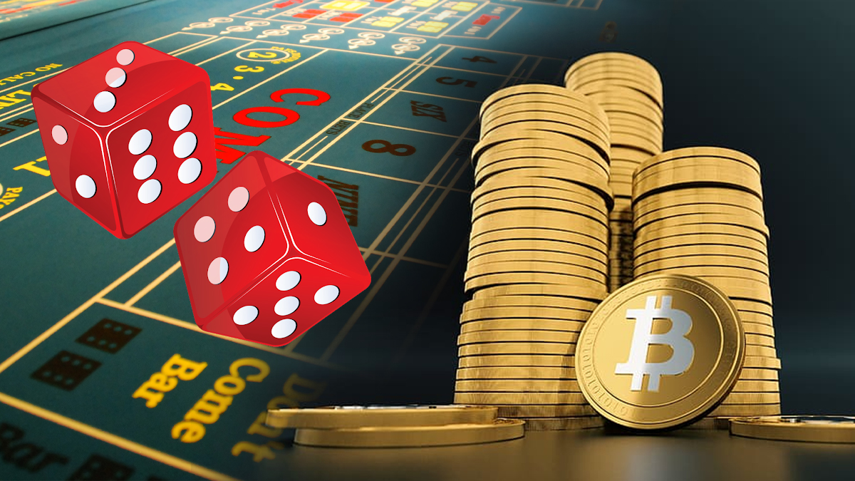Cats, Dogs and best bitcoin gambling